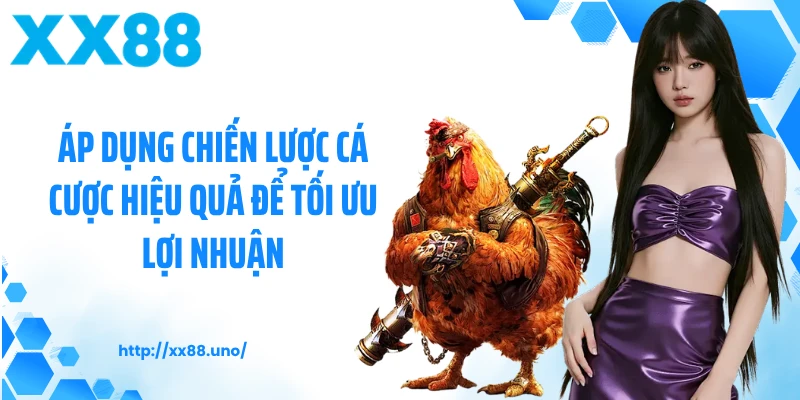 Áp dụng chiến lược cá cược hiệu quả để tối ưu lợi nhuận